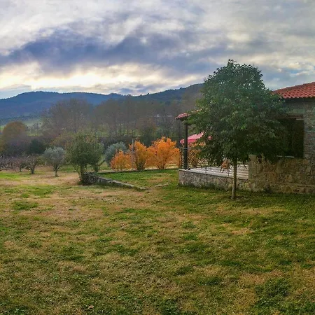 Michaella Tatil Evi Kardiça